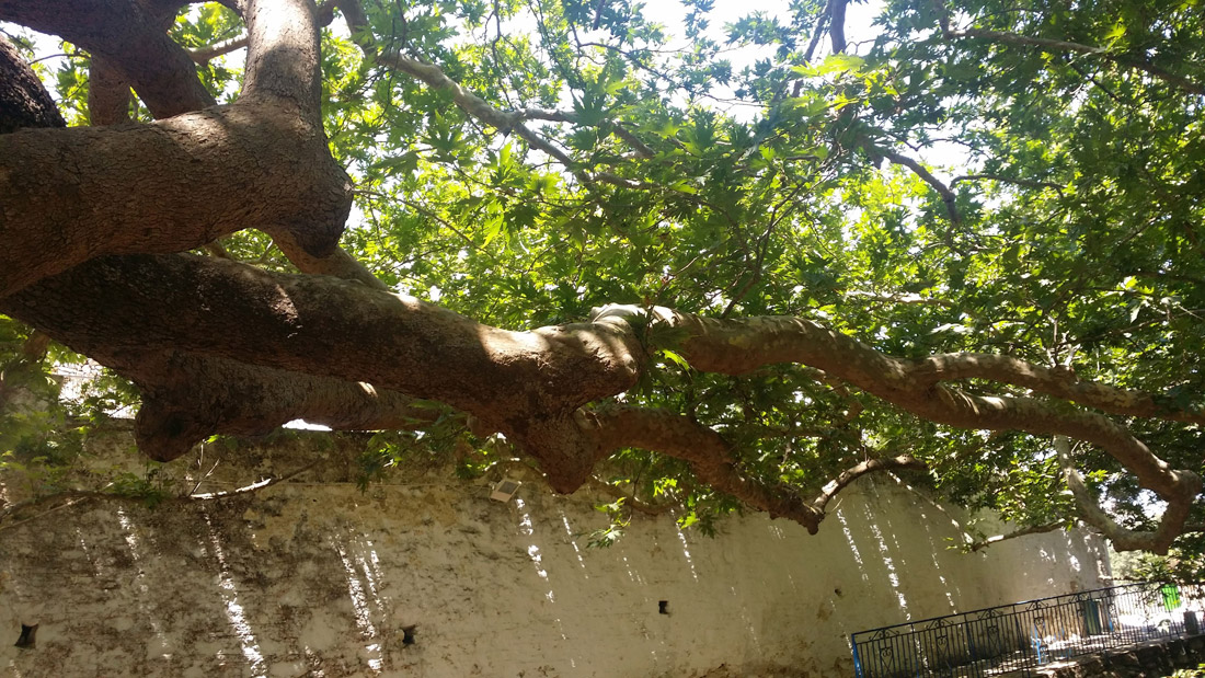 naxos-sightseeings-DANAKOS-WATER-SOURCE-2 Naxos Sightseeings