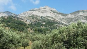 ELaiolithos - Moni - Kaloxilos - Chalkio - Agios Georgios Diasoritis - Monitsia - Panagia Rachidiotissa - Panagia Drosiani - ELaiolithos