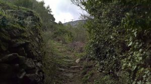 Hiking ELaiolithos – Moni – Sifones – Fanari – Sifones – Moni