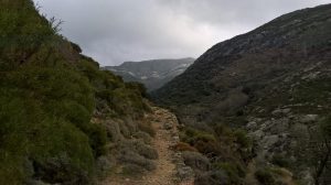 Hiking ELaiolithos – Moni – Sifones – Fanari – Sifones – Moni