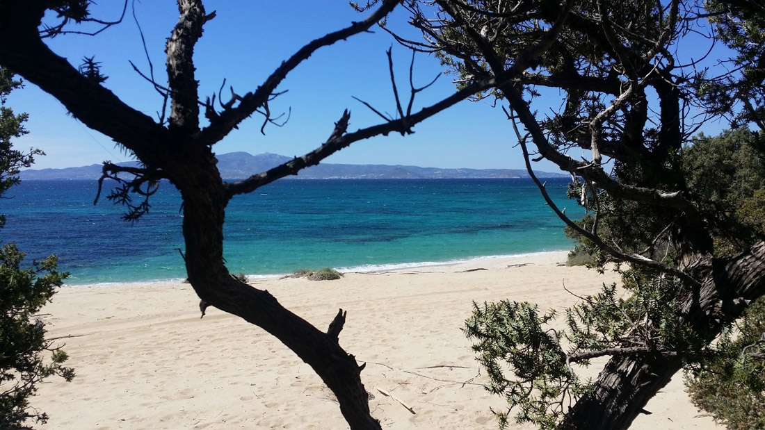 Naxos Beaches