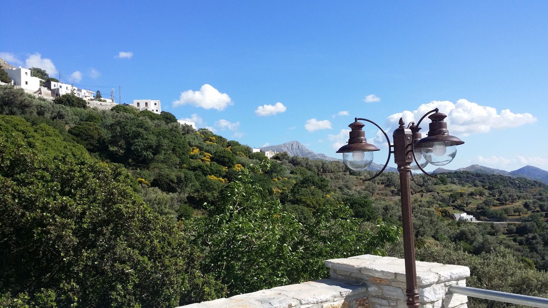 The Poetic World of ELaiolithos Voices of Nature – Birds and Wild Life