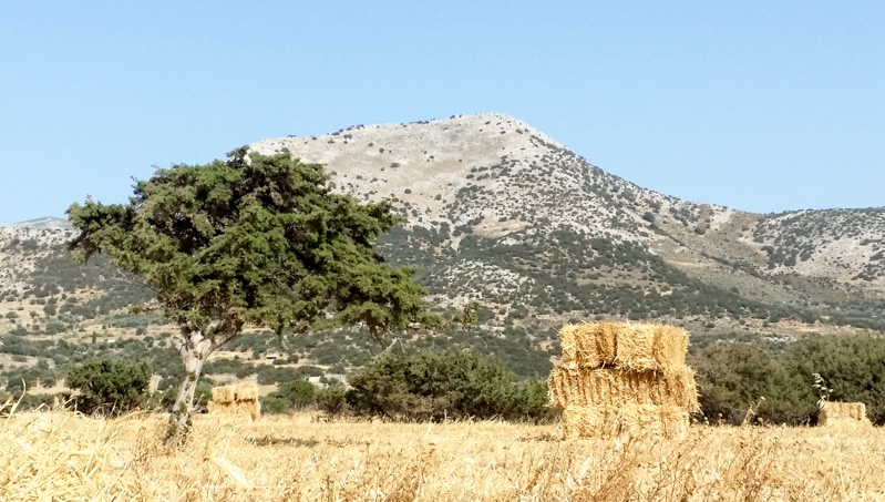 Η Νάξος της καρδιάς μου - Της Ελένης Μαράκη