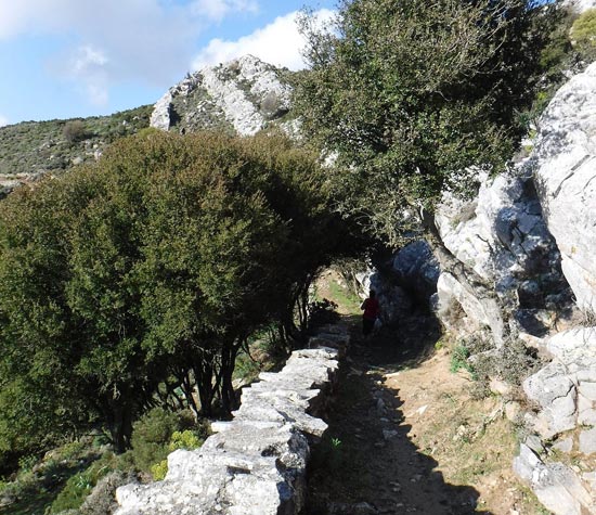 activities in naxos