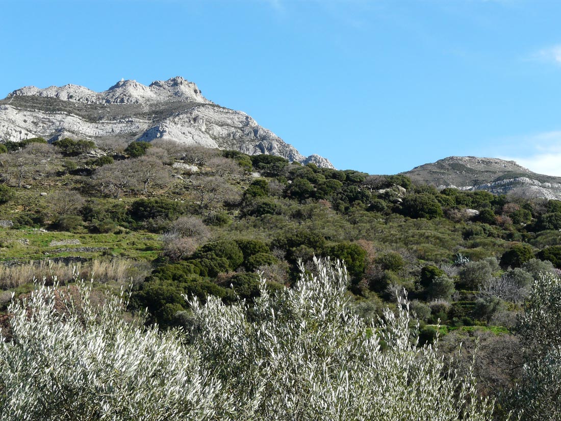 Fanari mountain