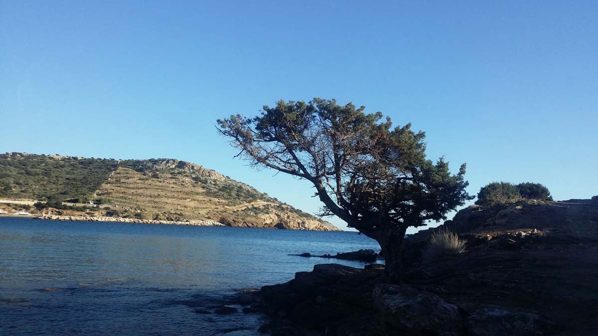 Kalantos Naxos Beach