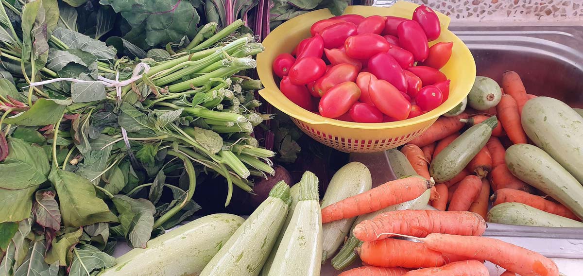 Cooking Classes in Naxos in ELaiolithos