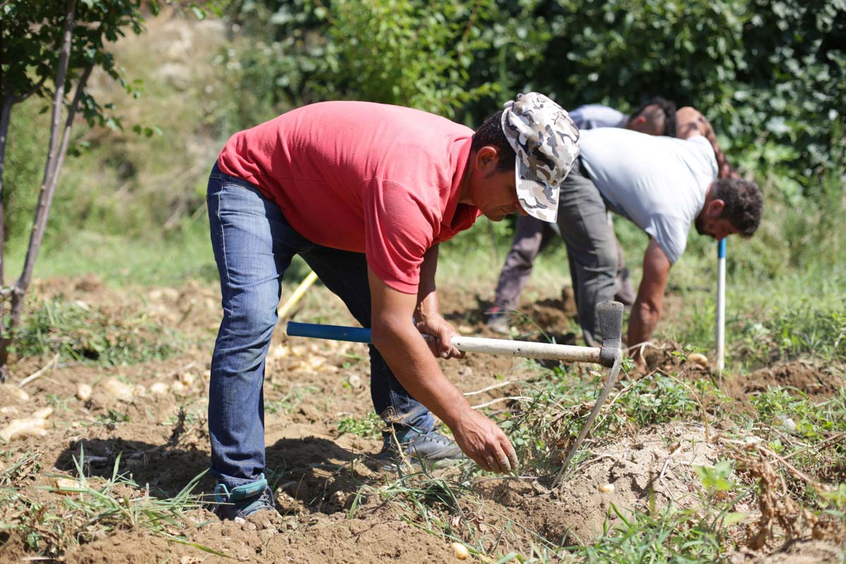 Farm to Table Sustainable Healthy Food Cuisine Philosophy