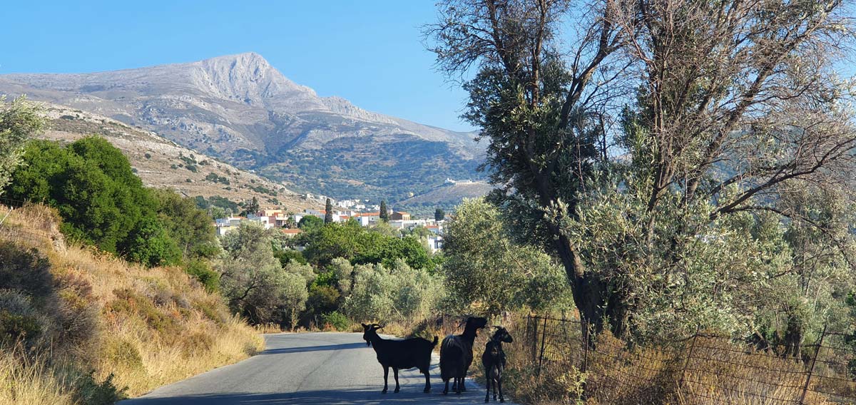 kaloxilos village