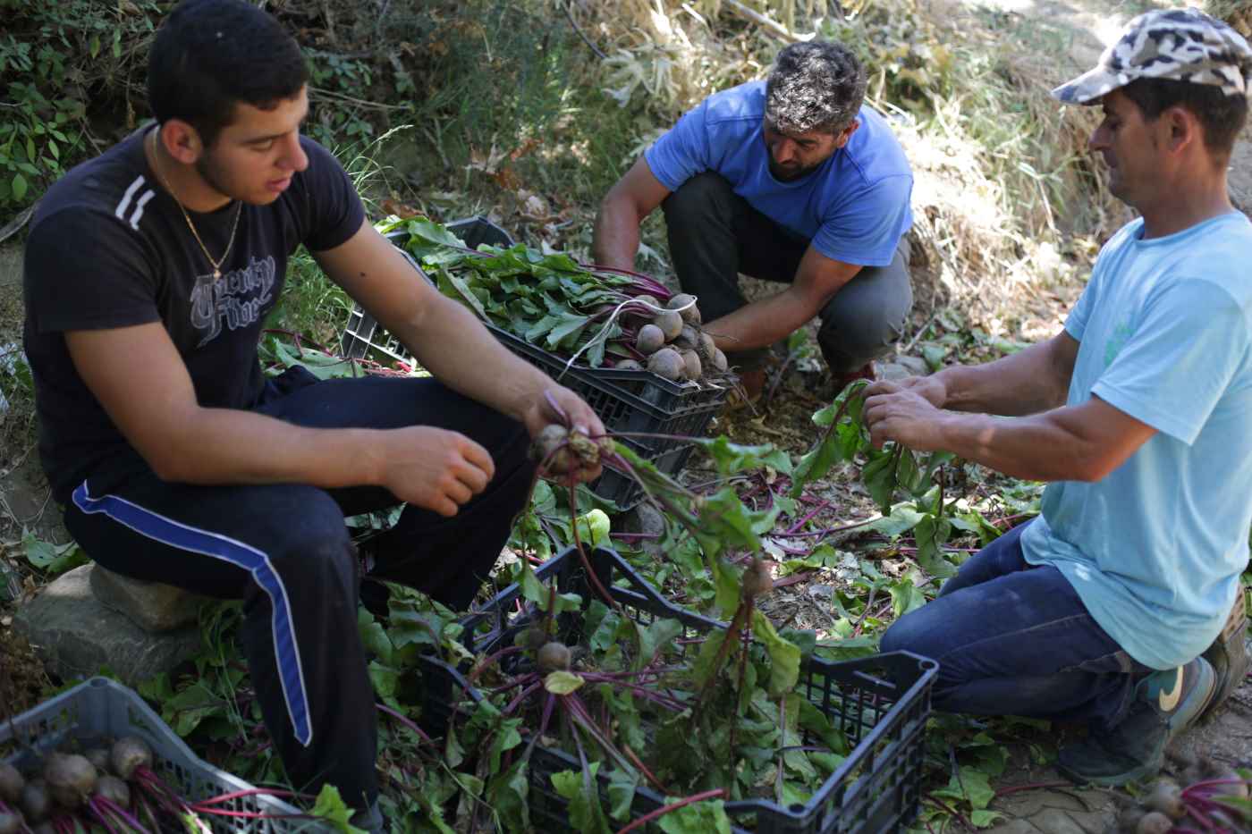 Farm-to-fork Food in Naxos