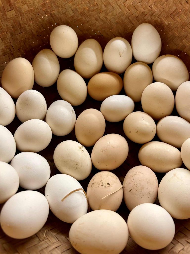 Eggcellent eggs