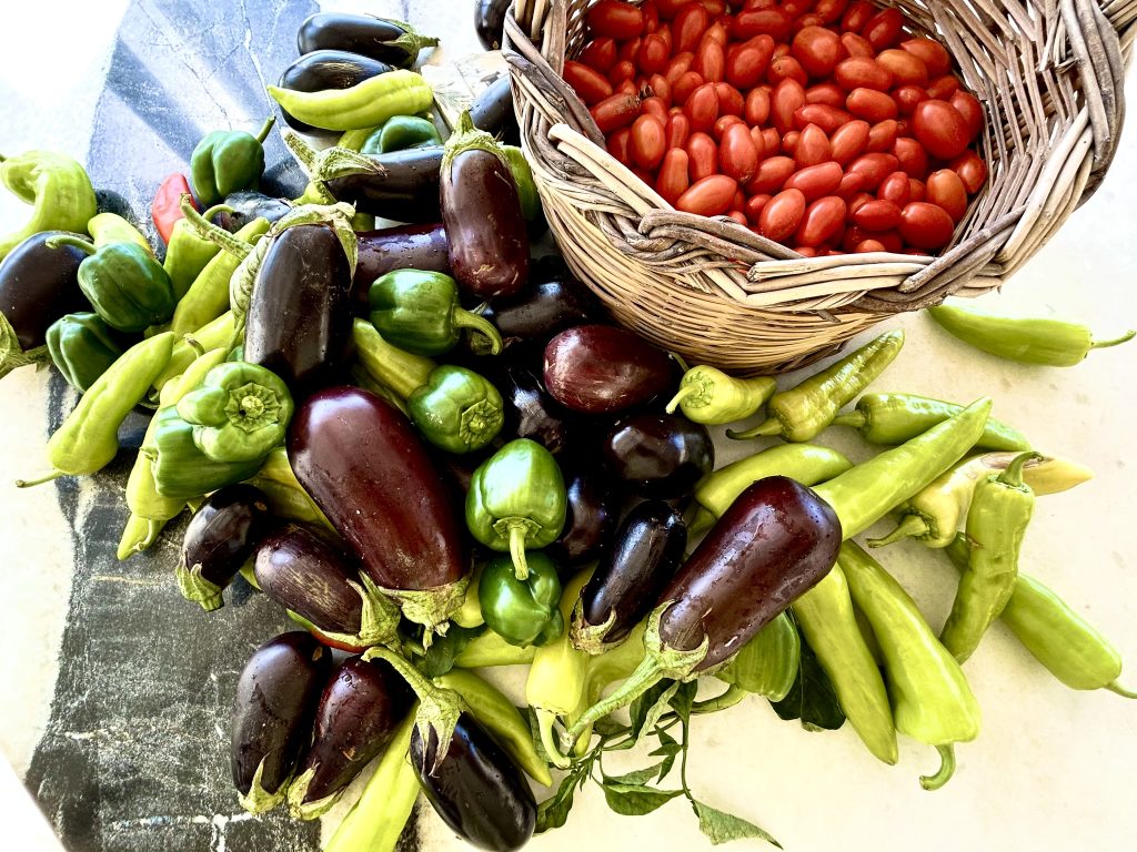 Freshly harvested organic Mediterranean vegetables from the ELaiolithos garden, illustrating the 0km farm-to-table culinary philosophy in Naxos.