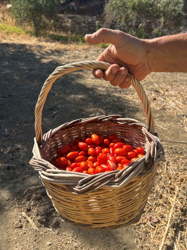 Locally sourced ingredients at ELaiolithos, with Naxos highlands in the background, highlighting sustainable and artisanal traditions.